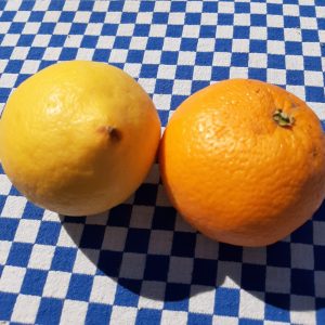citron et orange