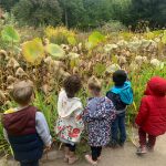 jardin des plantes